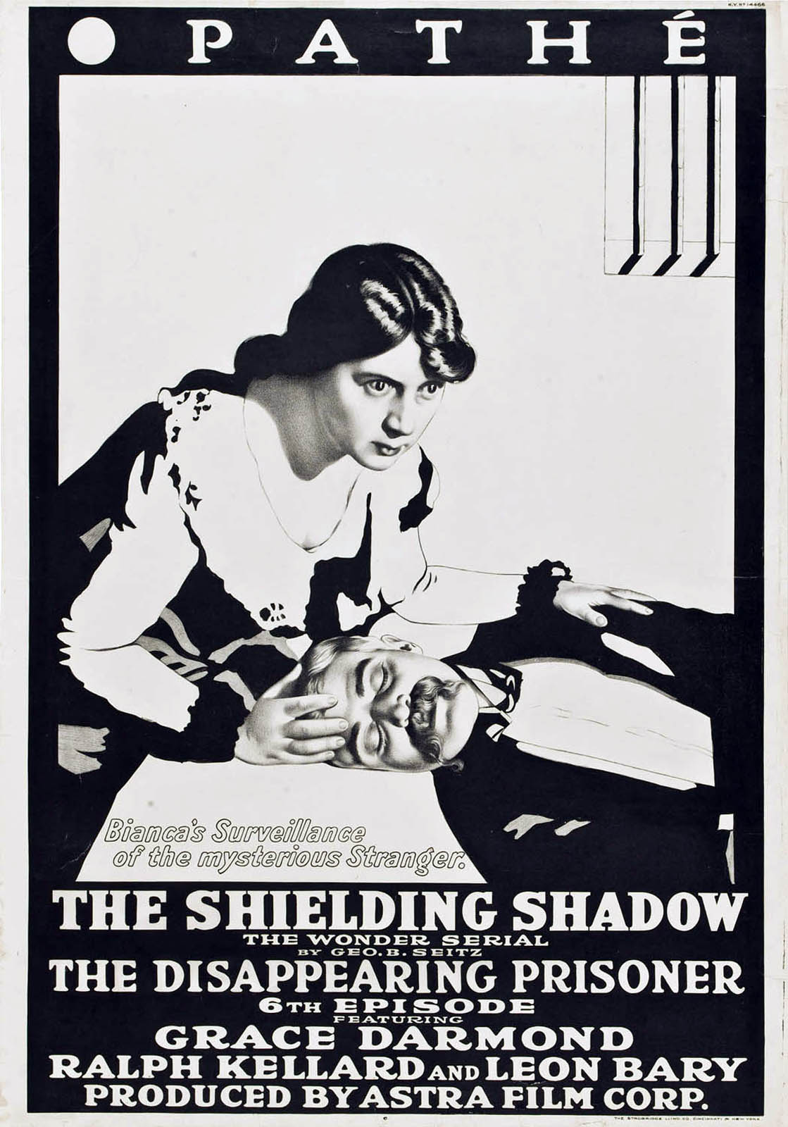 SHIELDING SHADOW, THE